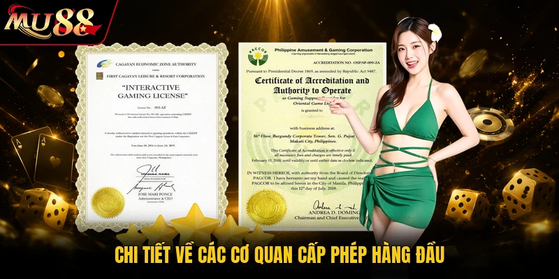 Chi tiết về các cơ quan cấp phép hàng đầu
