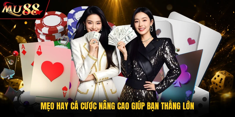 Mẹo hay cá cược nâng cao giúp bạn thắng lớn
