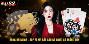 Rồng Hổ MU88