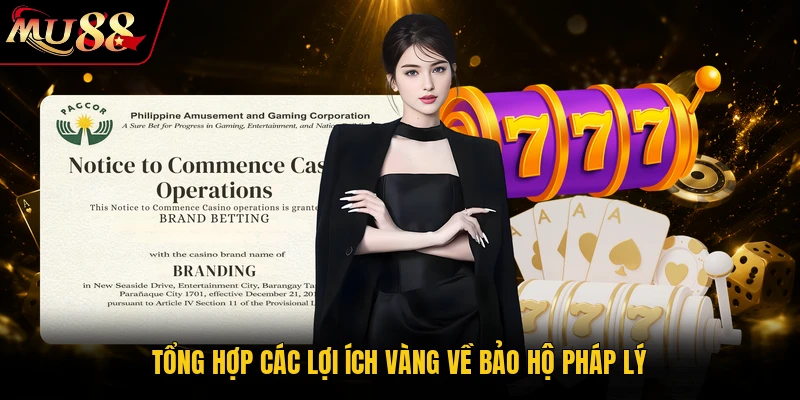 Tổng hợp các lợi ích vàng về bảo hộ pháp lý